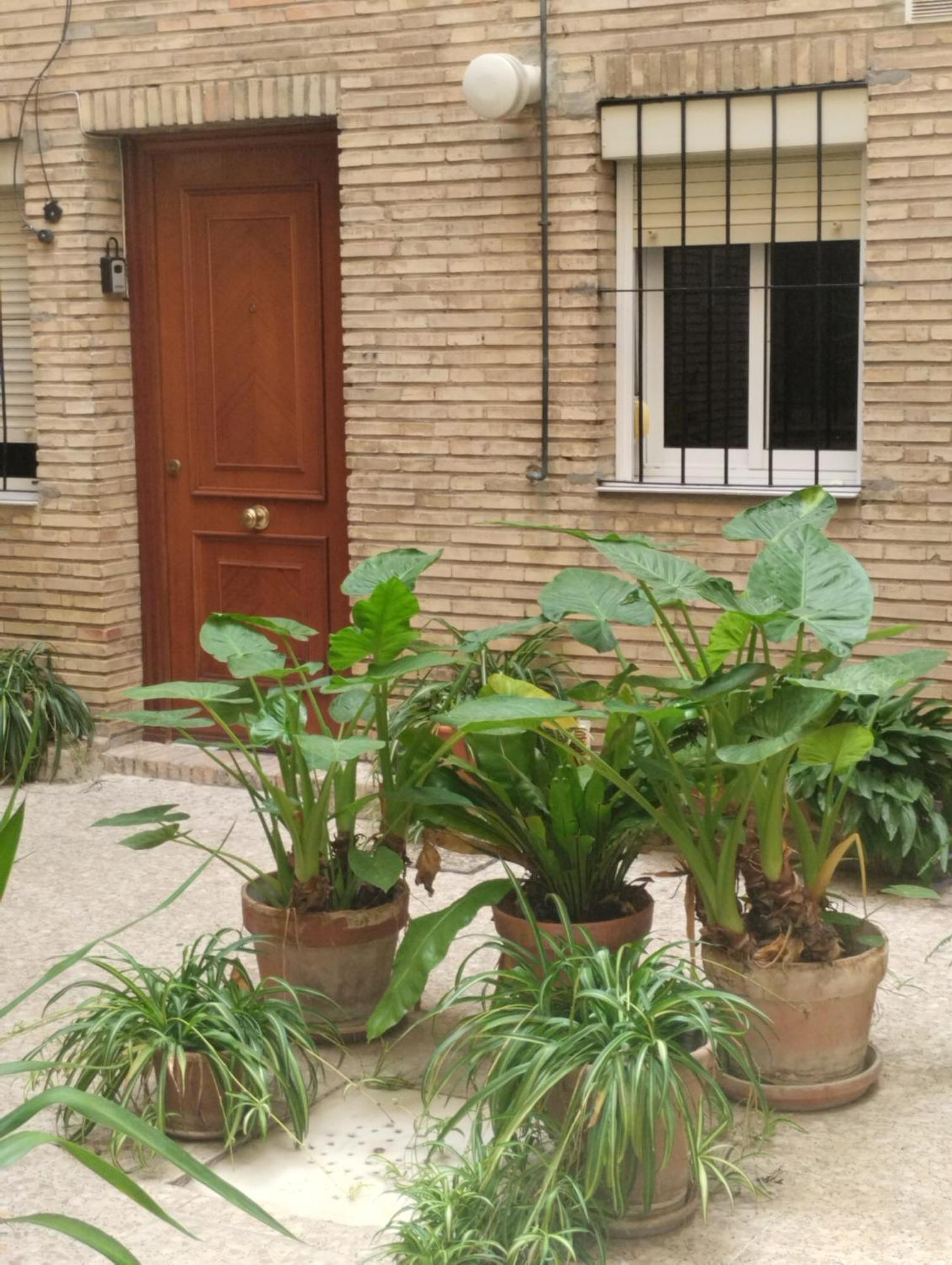 Apartamento La Casa De Pepa Sevilla Exterior foto